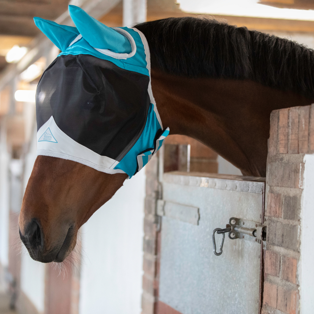 SH6662_TEAL_6