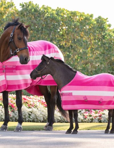 Täcken från Horseware