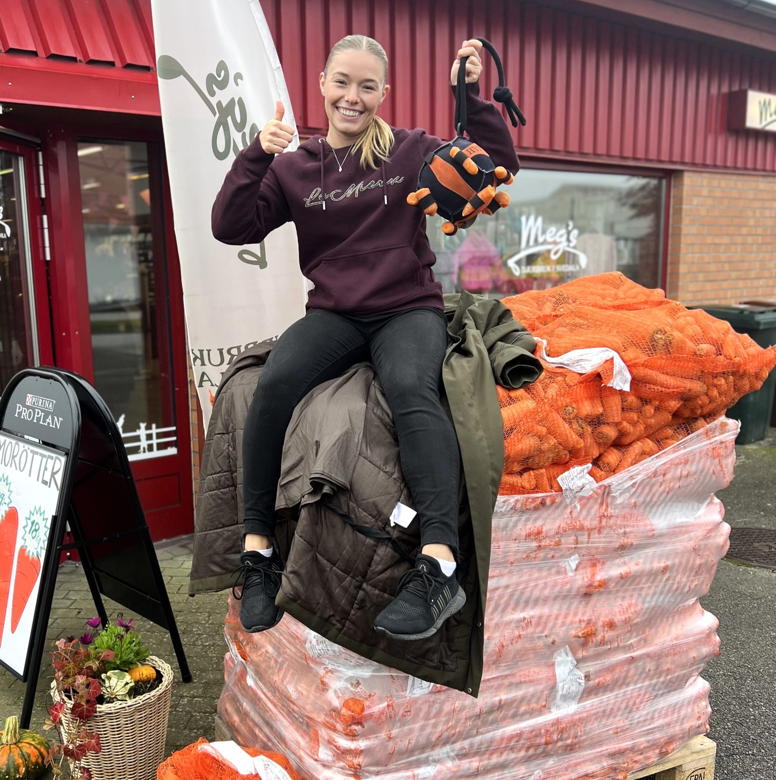 Morötterna har kommit! 18 kg för 109:-