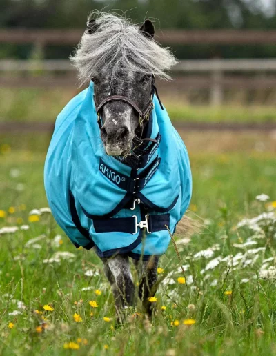 Täcken från horseware ponny