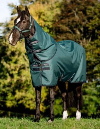 Horseware Dynasty green