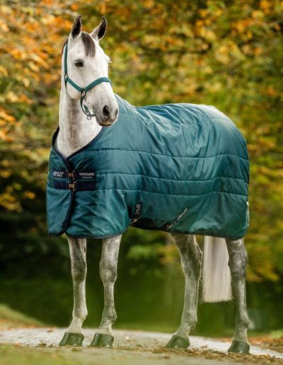 Horseware Dynasty green