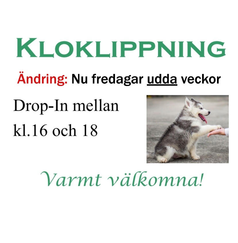 Kloklippning med nya tider