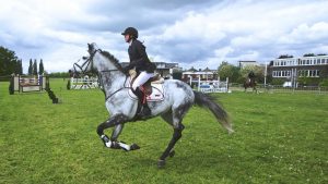 woman riding white black horse on green lawn during daytime