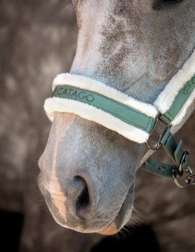Catago Logi Halter