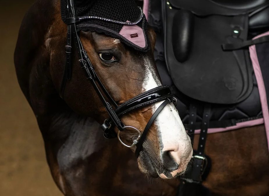 Equestrian Stockholm – Senaste kollektionen